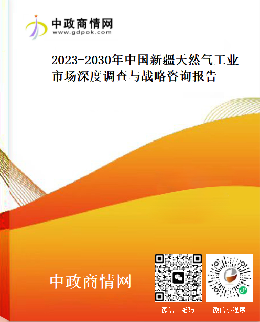 2023-2030年中国新疆天然气工业市场深度调查与战略咨询