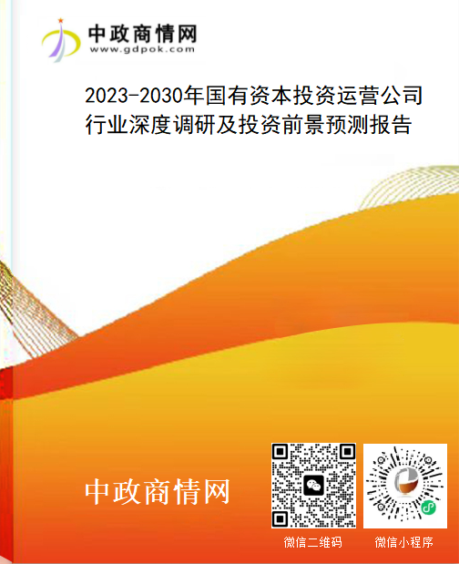 2023-2030年国有资本投资运营公司行业深度调研及投资前景预测报告