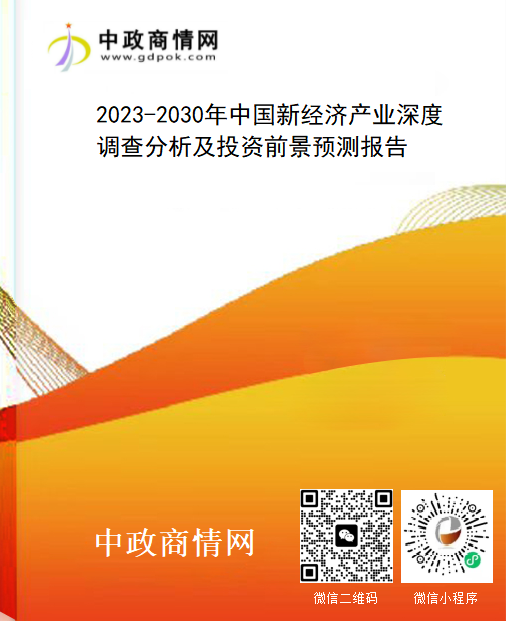 2023-2030年中国新经济产业深度调查分析及投资前景预测