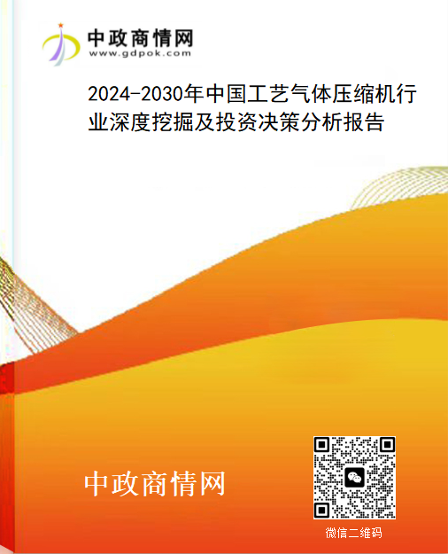 2024-2030年中国工艺气体压缩机行业深度挖掘及投资决策分析报告