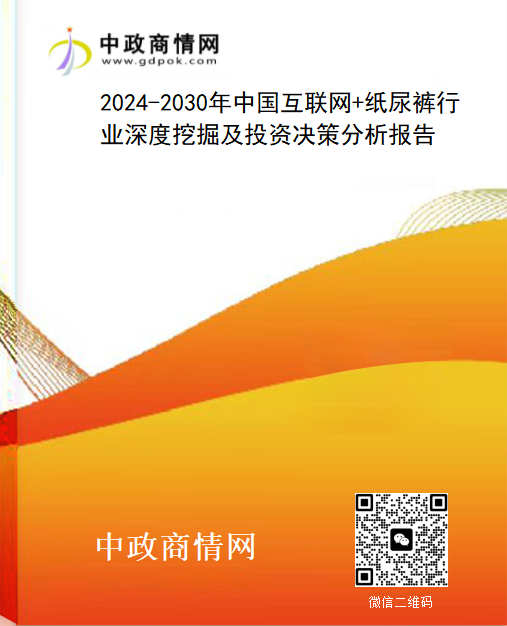 2024-2030年中国互联网+纸尿裤行业深度挖掘及投资决策分析报告