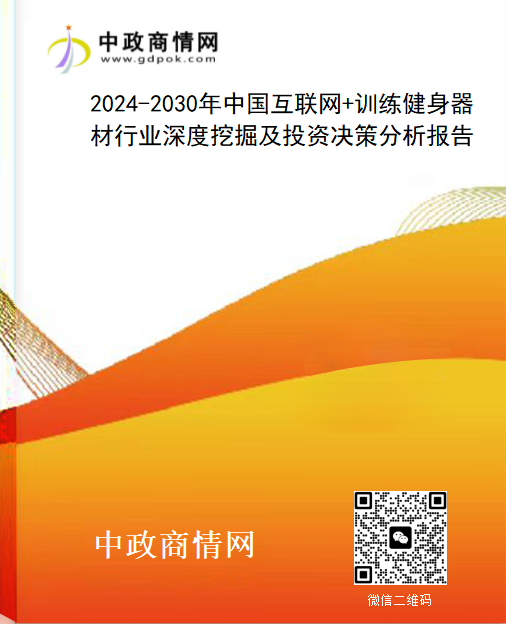 2024-2030年中国互联网+训练健身器材行业深度挖掘及投资决策分析报告