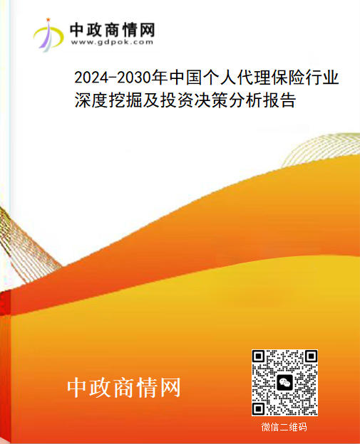 2024-2030年中国个人代理保险行业深度挖掘及投资决策分