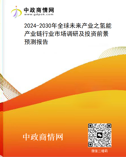 2024-2030年全球未来产业之氢能产业链行业市场调研及投