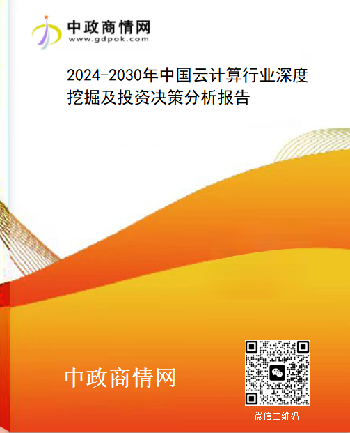 2024-2030年中国云计算行业深度挖掘及投资决策分析报告