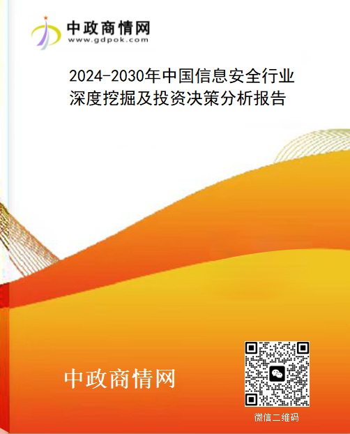 2024-2030年中国信息安全行业深度挖掘及投资决策分析报