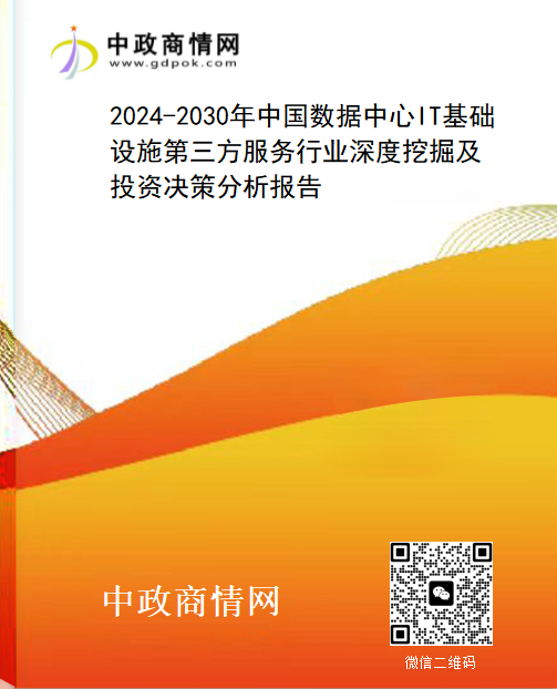 2024-2030年中国数据中心IT基础设施第三方服务行业深