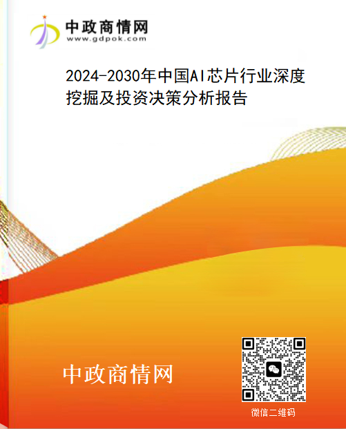 2024-2030年中国人工智能芯片（AI芯片）行业深度挖掘