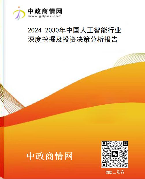 2024-2030年中国人工智能行业深度挖掘及投资决策分析报