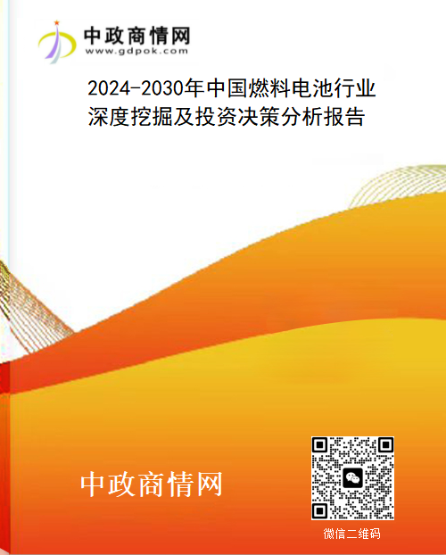 2024-2030年中国燃料电池行业深度挖掘及投资决策分析报