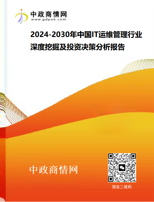 2024-2030年中国IT运维管理行业深度挖掘及投资决策分