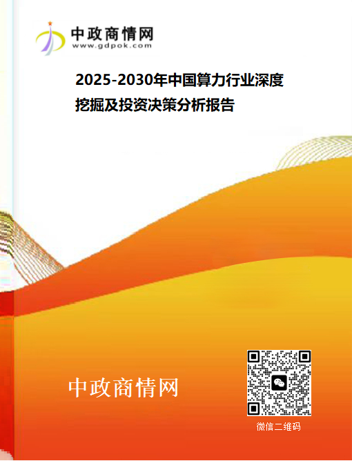 <strong>2025-2030年中国算力行业深度挖掘及投资决策分析报告</strong>