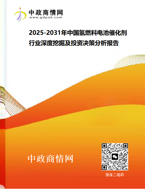 <strong>2025-2031年中国氢燃料电池催化剂行业深度挖掘及投资决</strong>