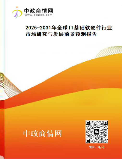 2025-2031年全球IT基础软硬件行业市场研究与发展前景